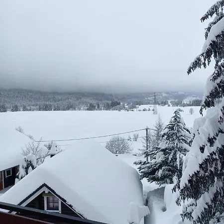 Suhi Vrh Apartman *