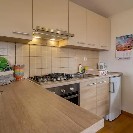 Suhi Vrh Apartment Ravna Gora